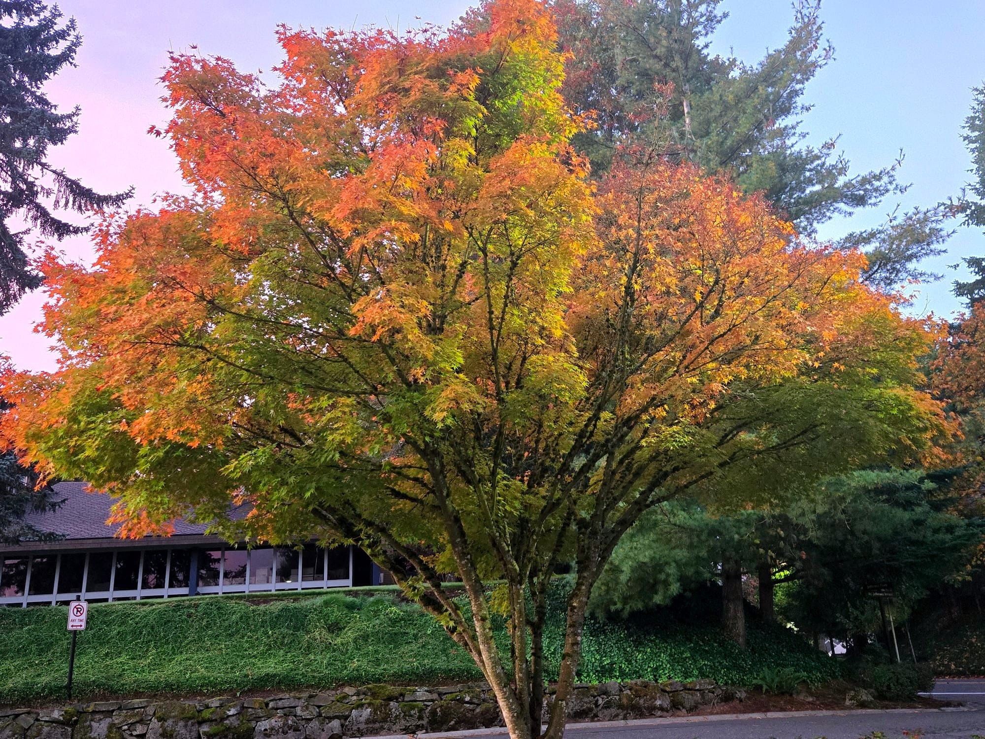 Creating Room | New Moon Rest & Renewal for the jewel within