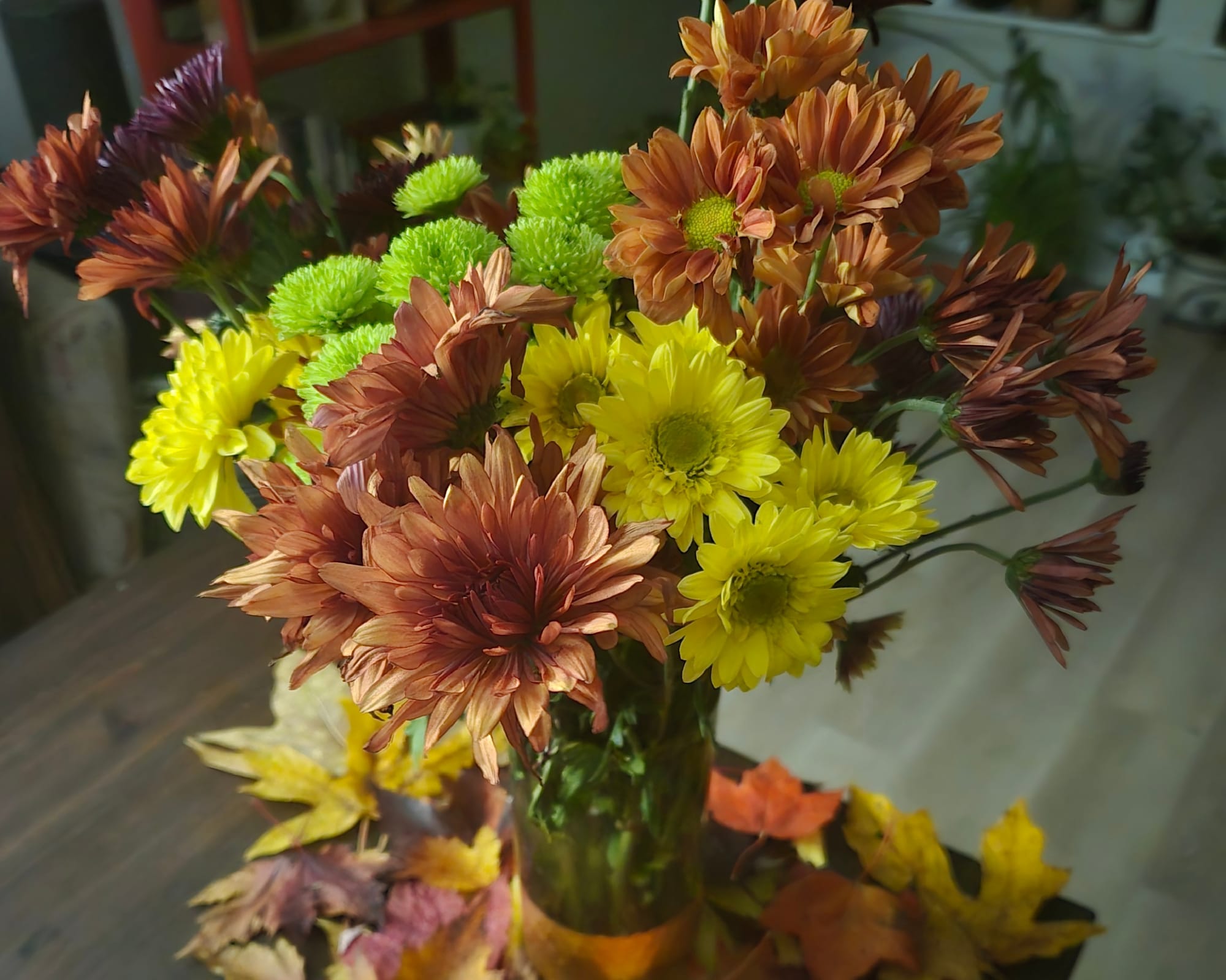 Scorpio Season, Shadow & Samhain — A Richness of Reverence