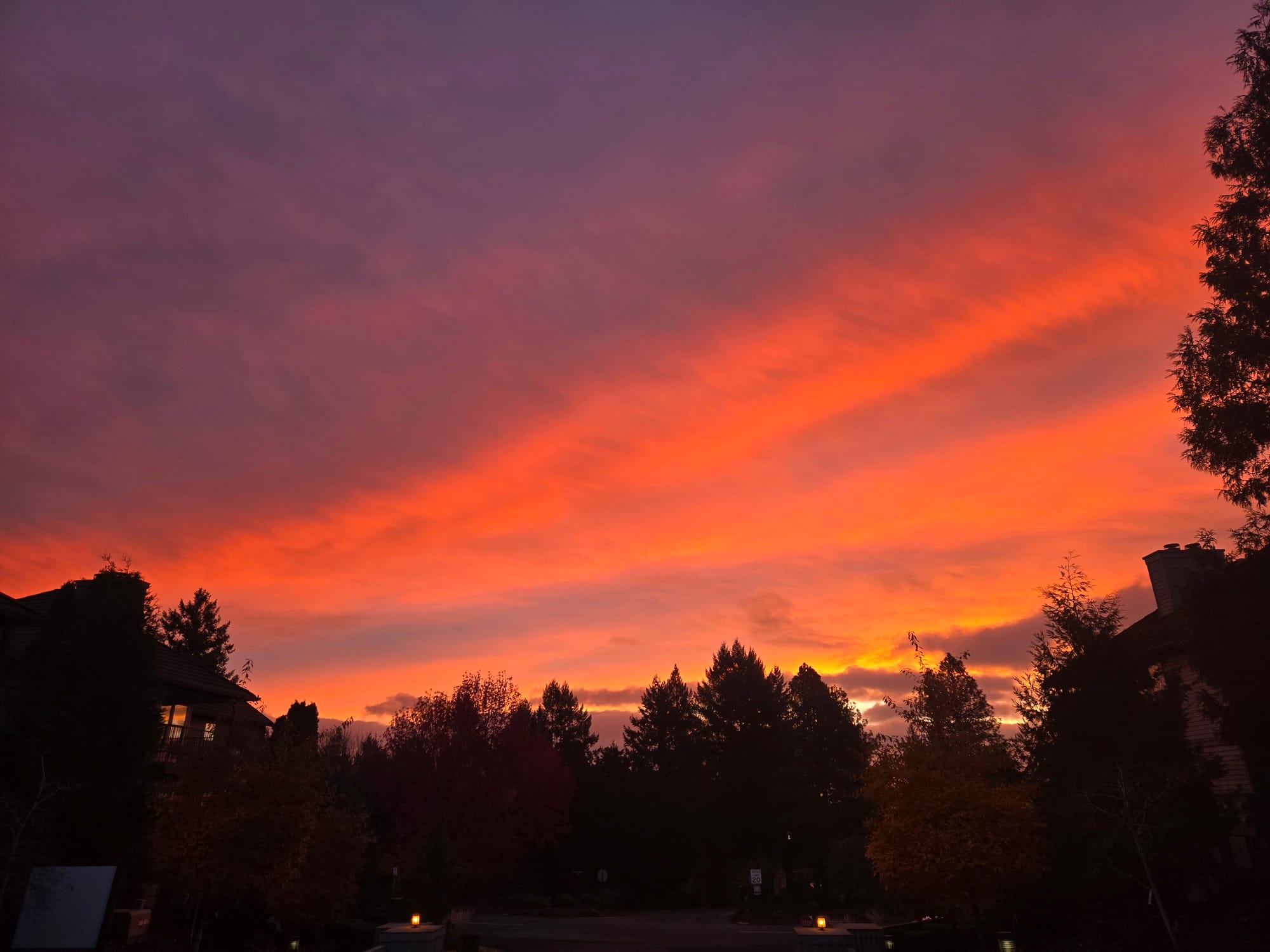 Attune to Expand - with gratitude, truthfulness & heart.