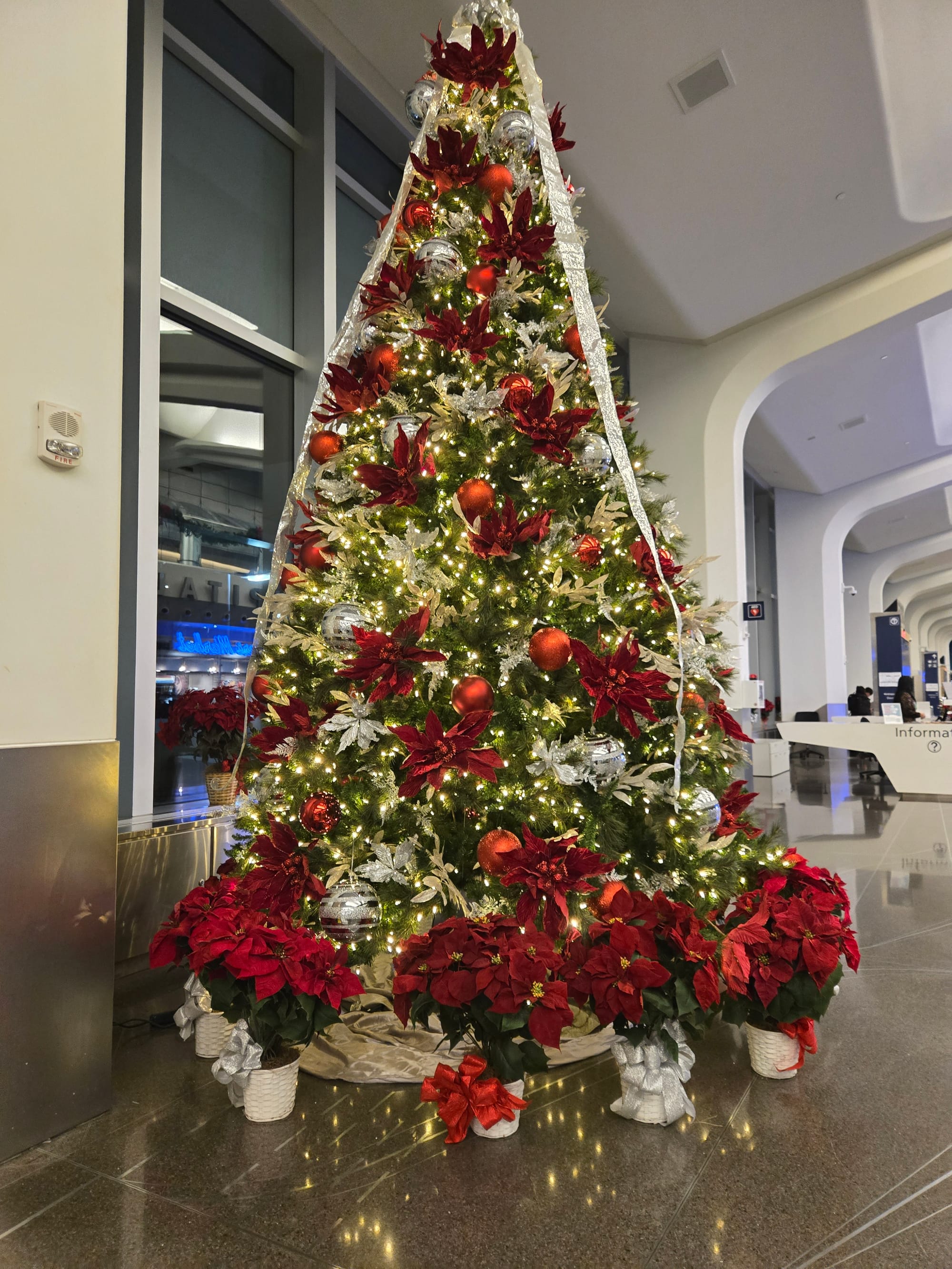 Sparks, Clarity, Courage for the Wintering Heart