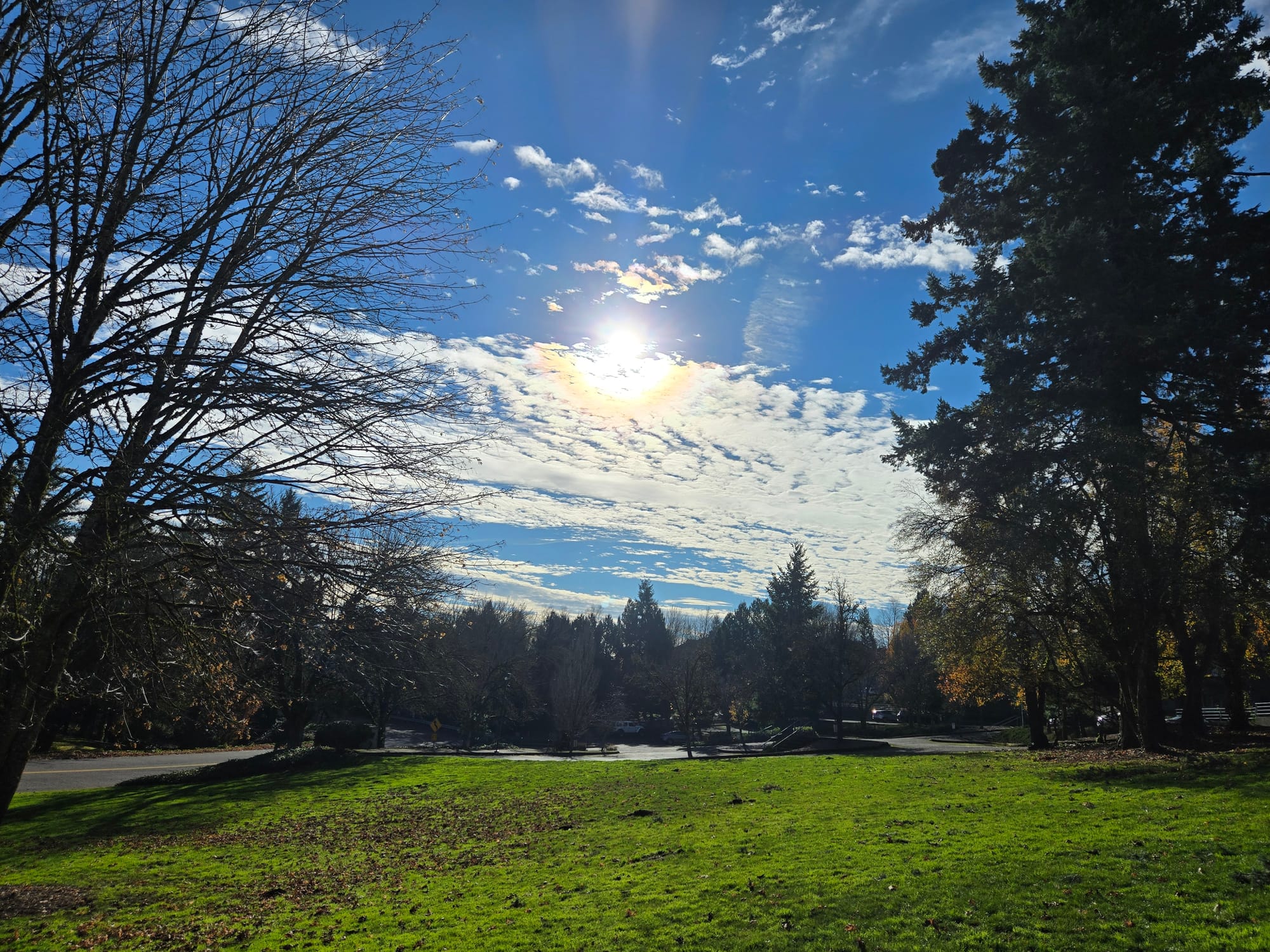 Sparks, Clarity, Courage for the Wintering Heart