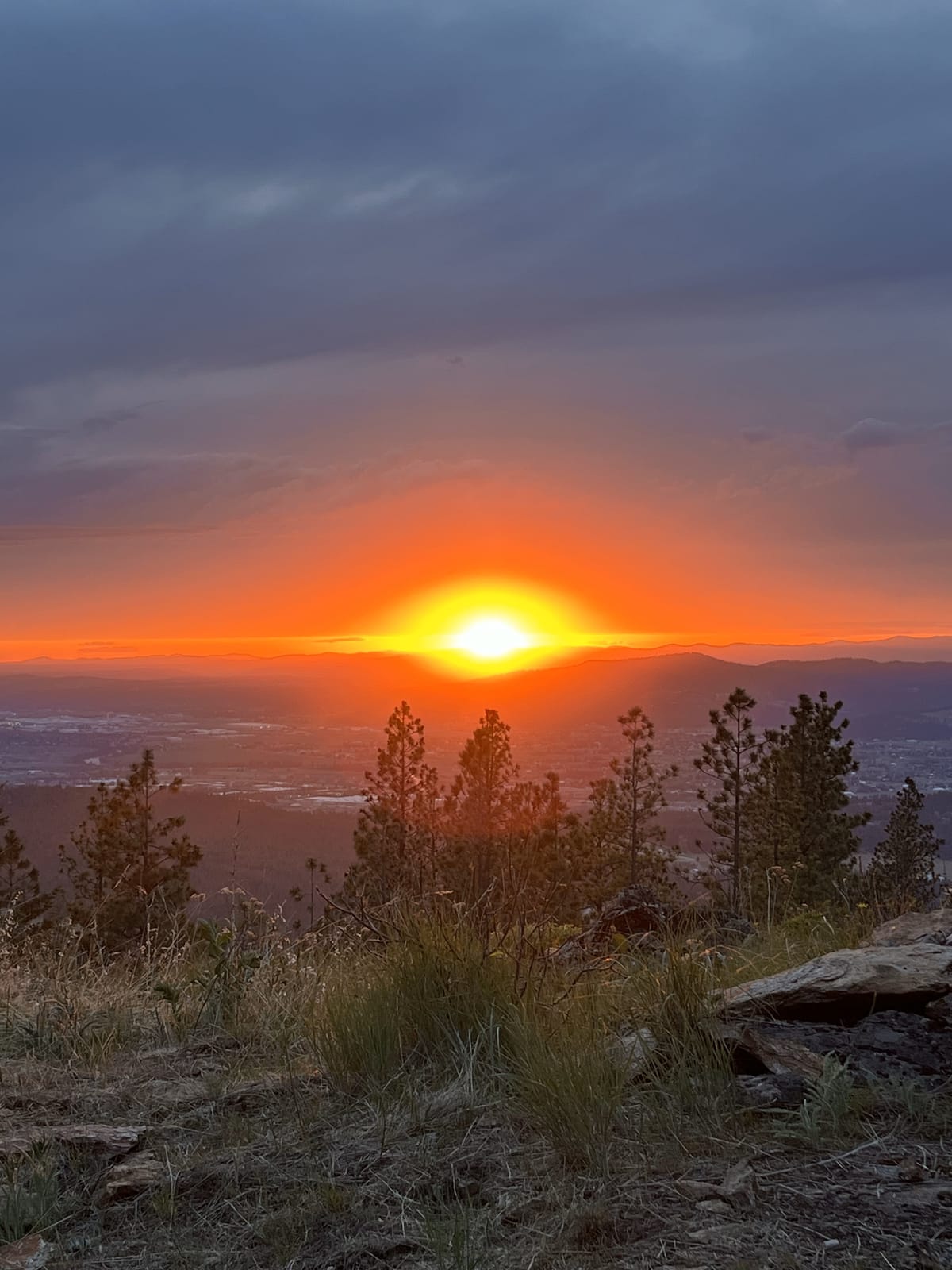 Off the Grid, Into the Heart - Touching Grief & Living Light