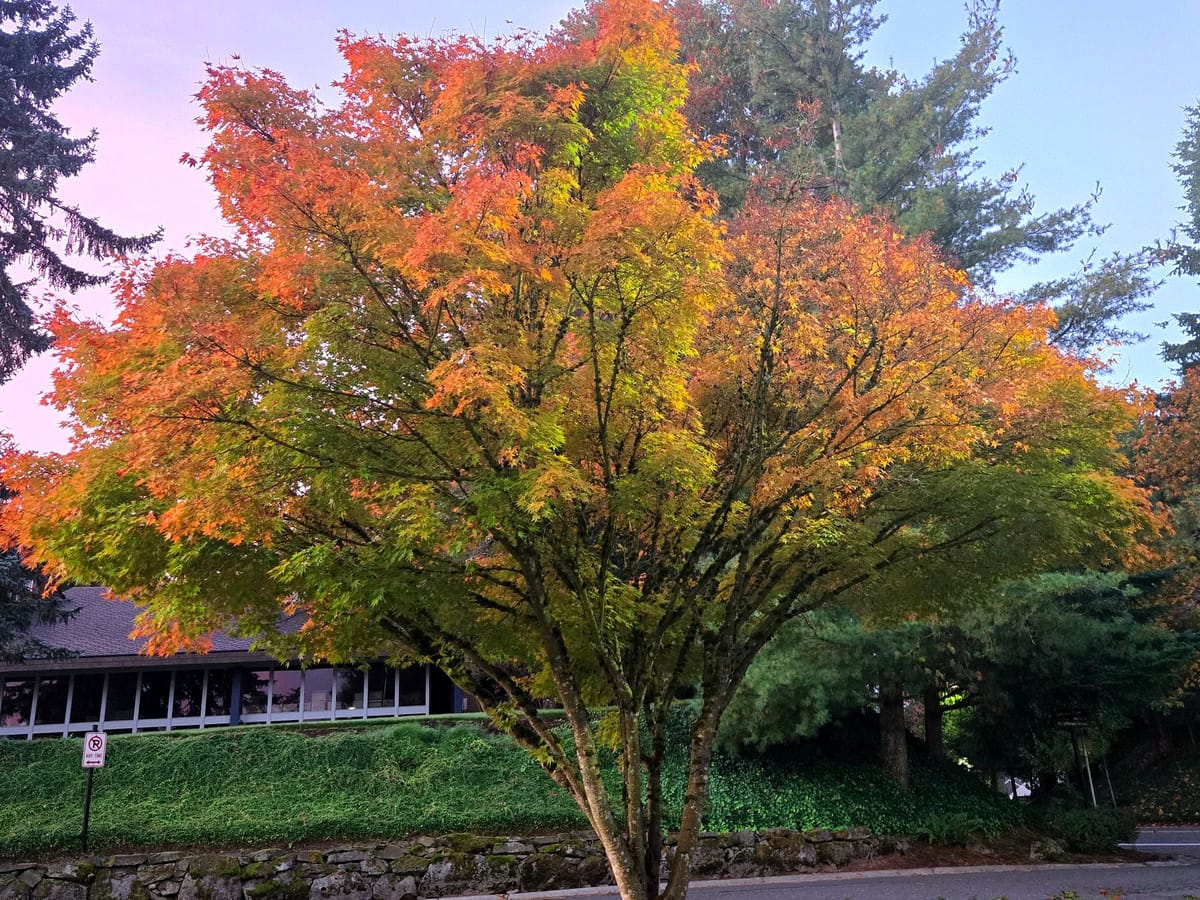 Creating Room | New Moon Rest & Renewal for the jewel within