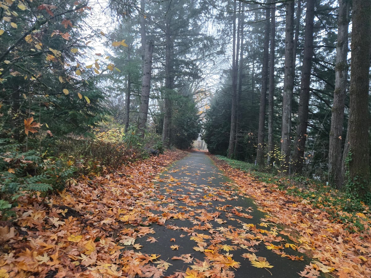 Engaging the Luminous Moments - Newsletter into December