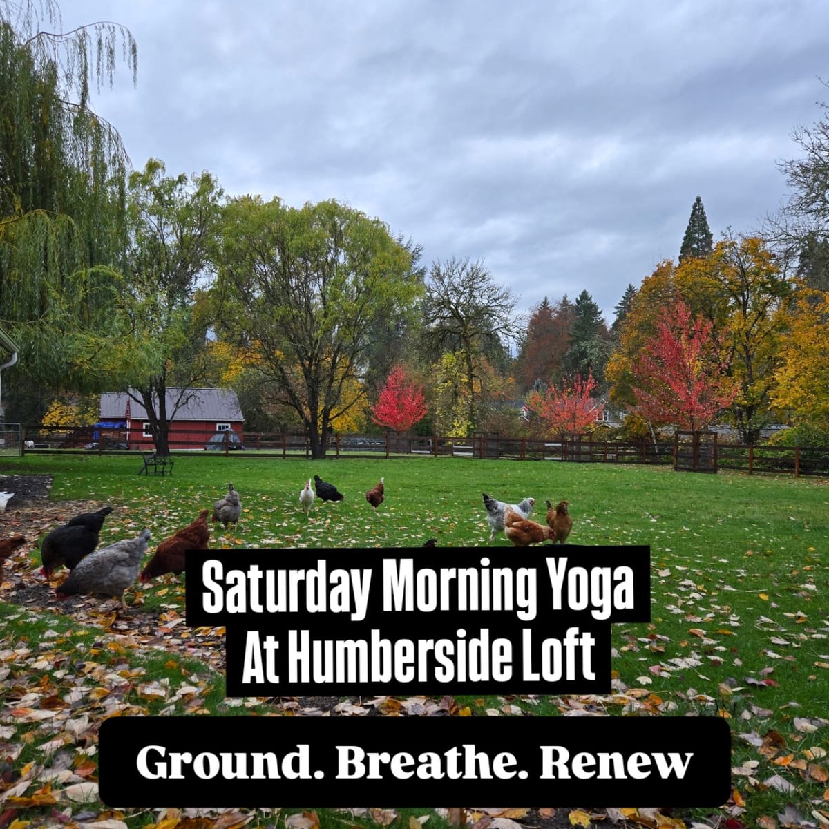 Root & Rise: Yoga at Humberside