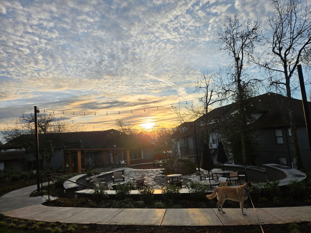 Wintering, Nourishment & Staying with the Heart