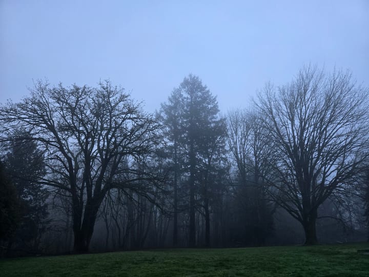 Clearing the Path to the Heart: Intentions and Reflection for a New Year to come