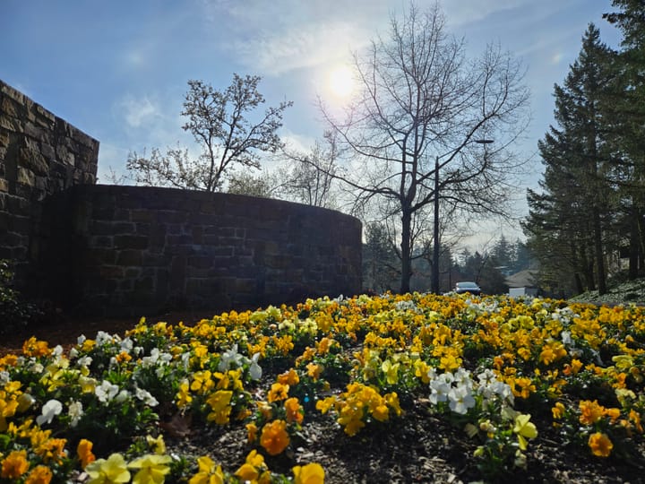 Hues of Yellow- The Light of Authenticity & Renewal