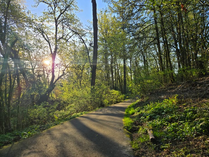 Sun & Shadow: Harmonizing Through Focus & Light