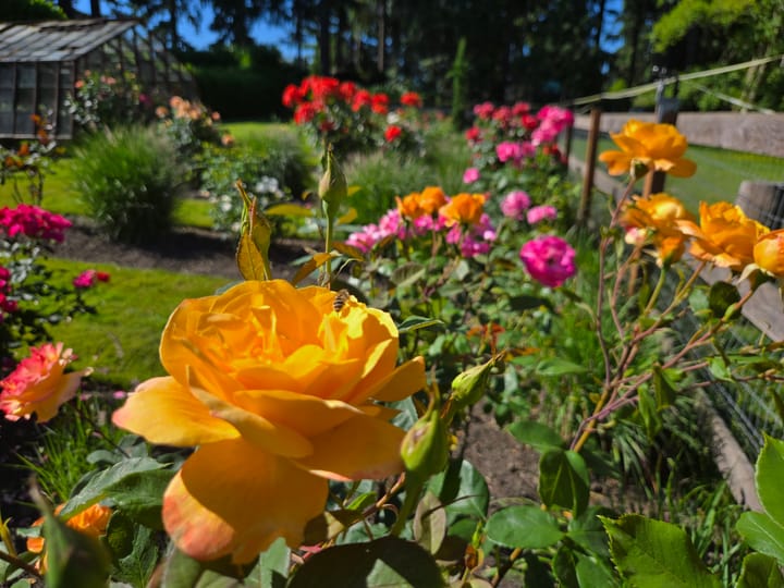 Brilliant & Balanced: Nourishing prana as summer approaches