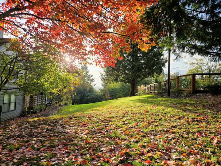 Trusting November’s Quiet Magic