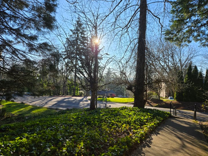 Where the Light Gets In | Wintering, Warmth & What’s Ahead