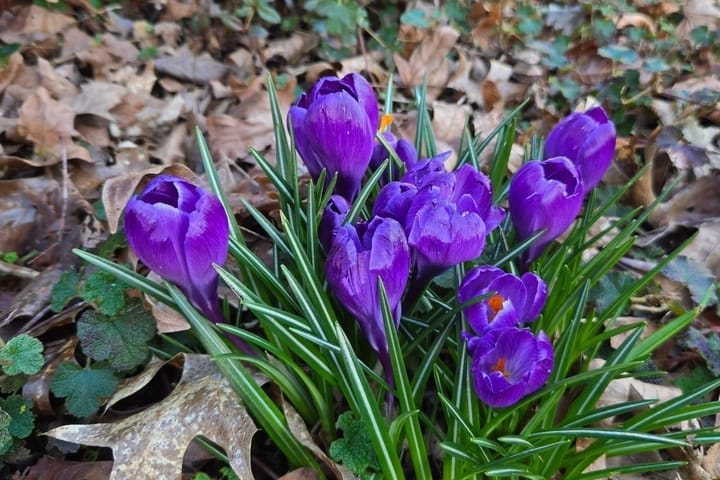 Waters of Emergence: Creating Warmth for What’s Rising